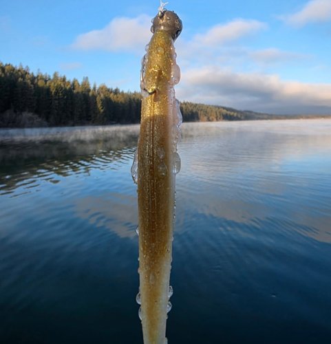 Photo post from garrettscustoms.