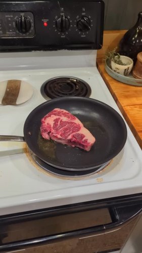 Video post from hungryhollowfarm.