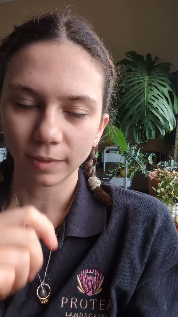 Video post from protealandscapes.