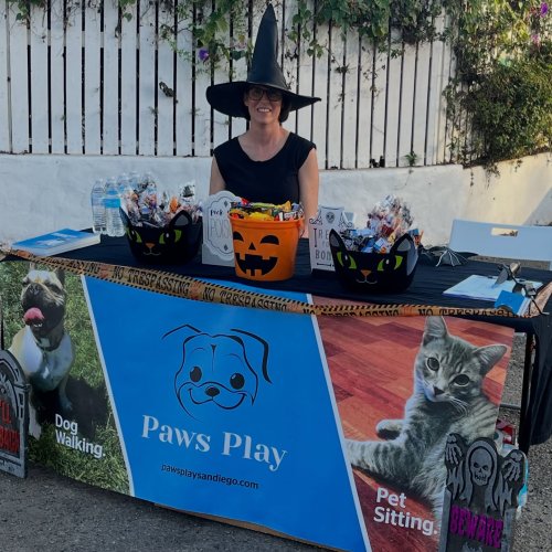 Photo post from pawsplaysandiego.