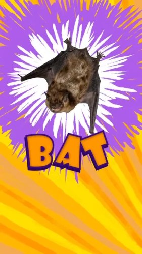 Video post from ctpublic.