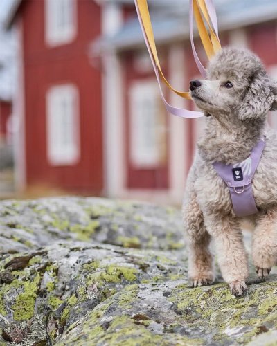 Photo post from hurttakorea.