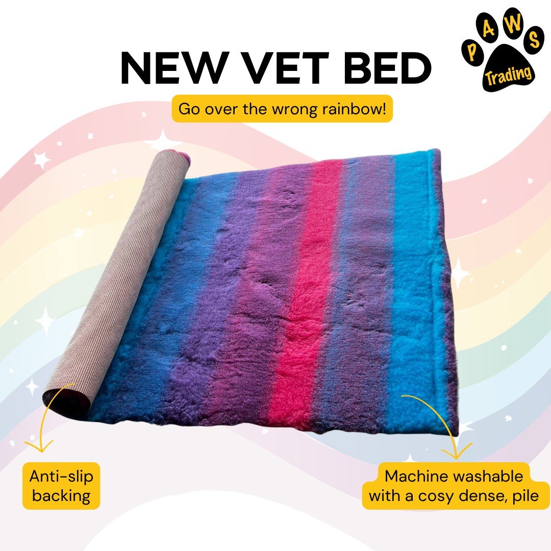 Photo post from pawstrading.