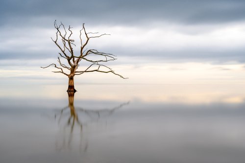 Photo post from rpslandscape.