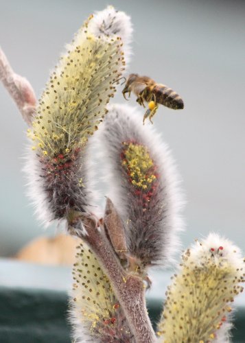 Carousel post from naturebreakr.