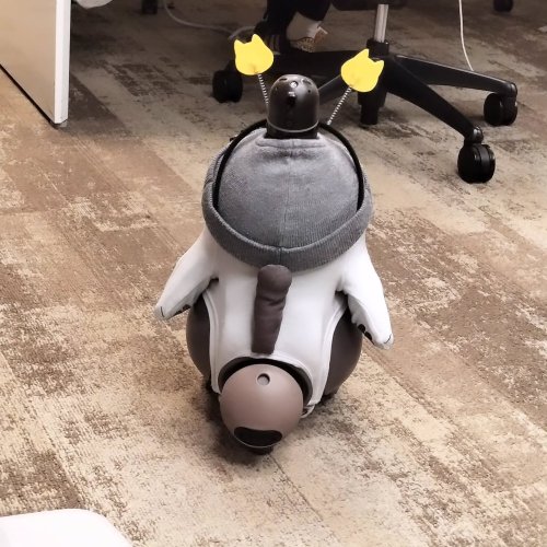 Carousel post from lovot_cabby.