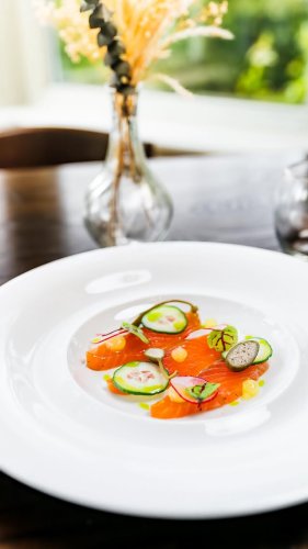 Video post from themoathouse.