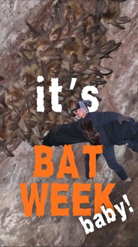 Video post from boulderosmp.