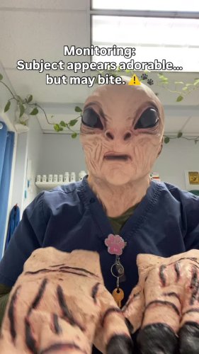 Video post from familyanimalhospitalcm.