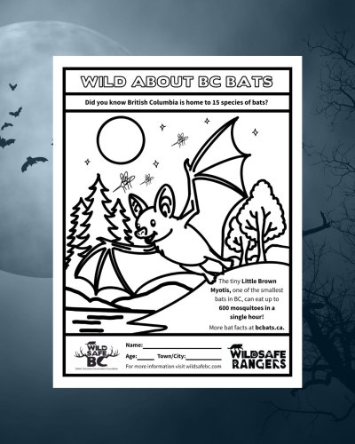 Photo post from wildsafebc.