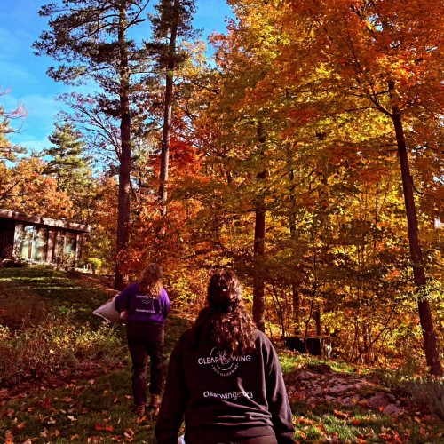 Photo post from clearwingeco.