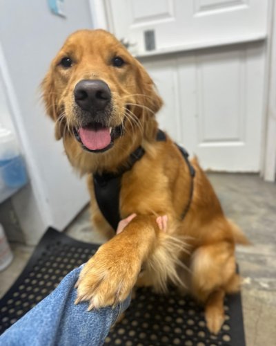 Carousel post from familyanimalhospitalcm.