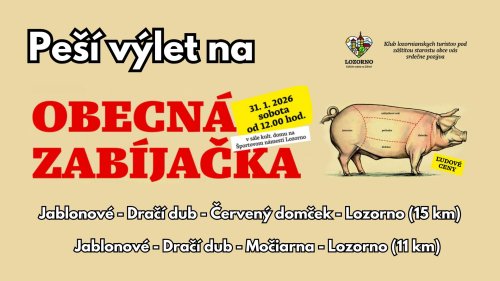 Photo post from kamzajtra.