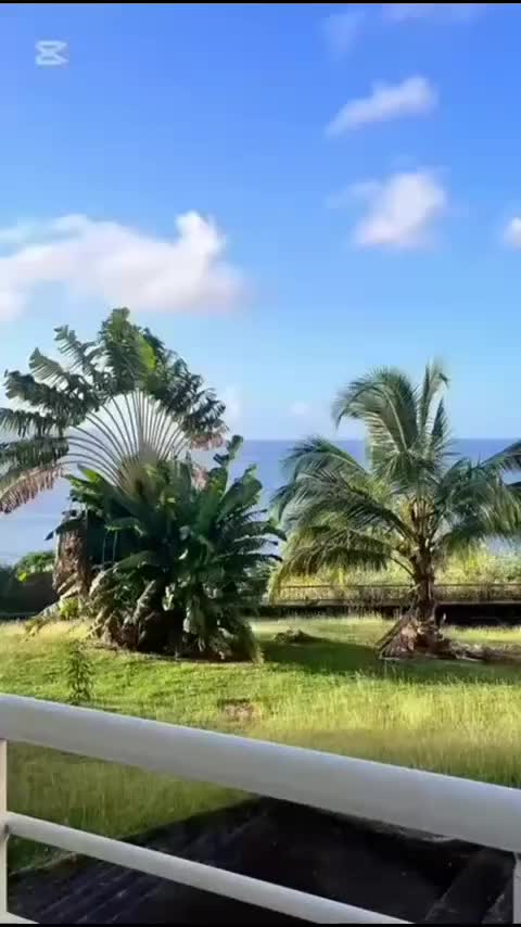 Video post from ellacuriazurbaranbhi.