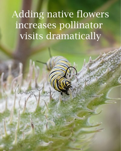 Photo post from mistyyoungphoto.