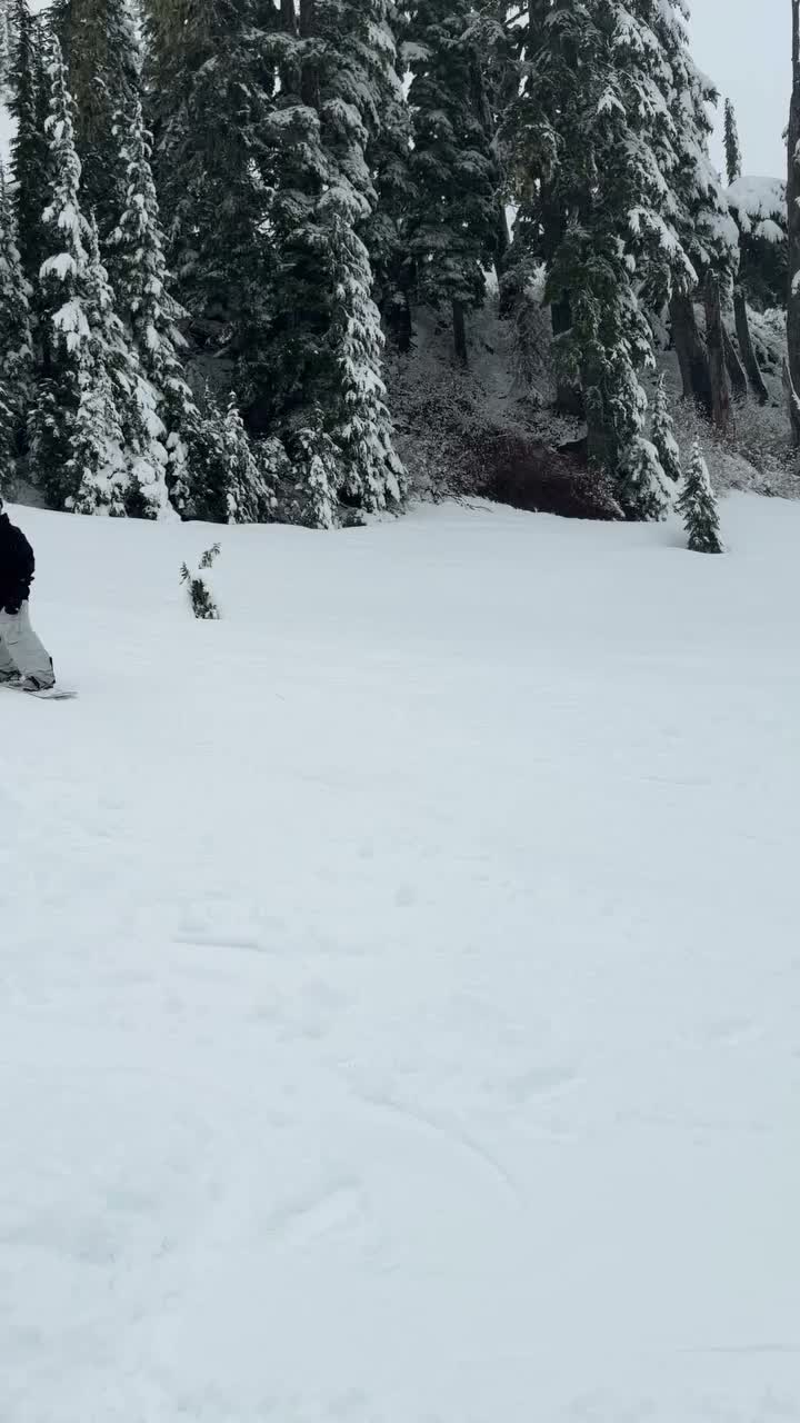 Video post from gnusnowboards.