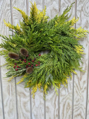 Carousel post from finnriver.