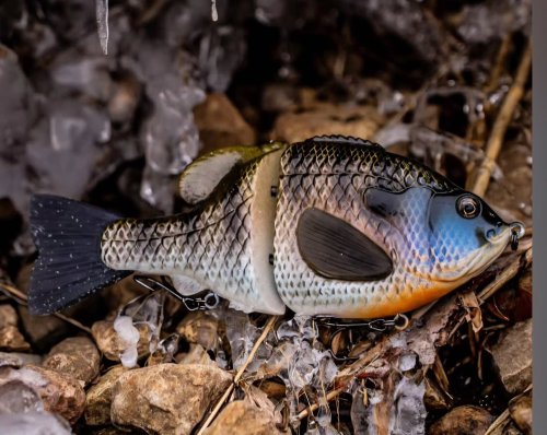 Photo post from garrettscustoms.