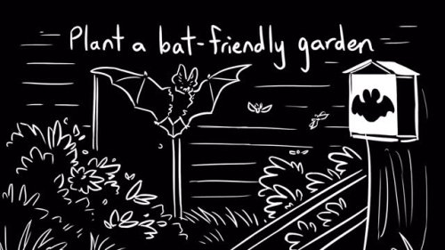 Video post from rmvreserve.