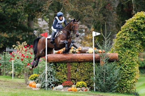 Photo post from fei_global.