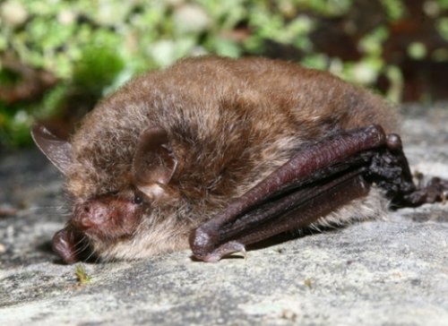 Photo post from somersetwt.