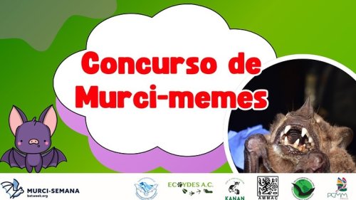 Carousel post from murcisemana_oficial.