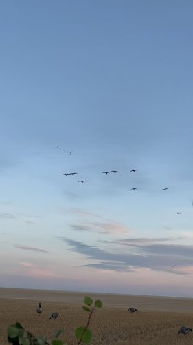 Video post from northernskiesoutfitters.