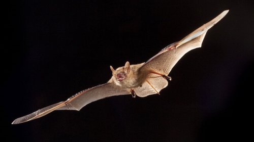 Photo post from dutchesslandconservancy.