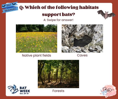 Carousel post from merseytobeatic.