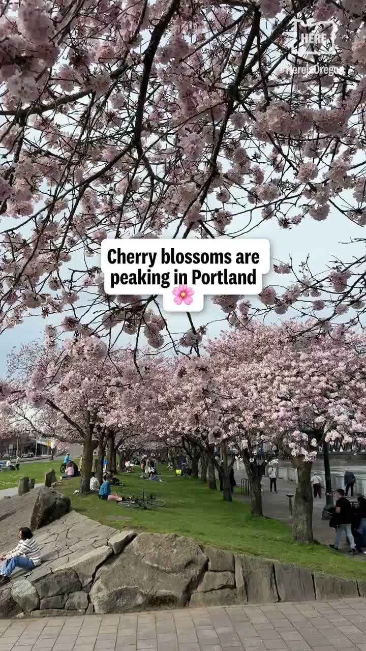 Video post from hereisoregon.