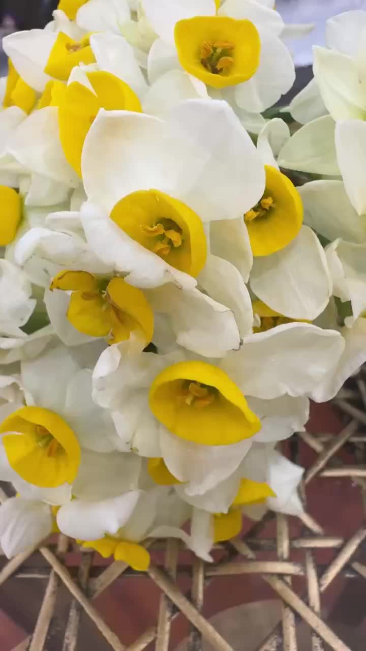 Video post from nighathashmi.