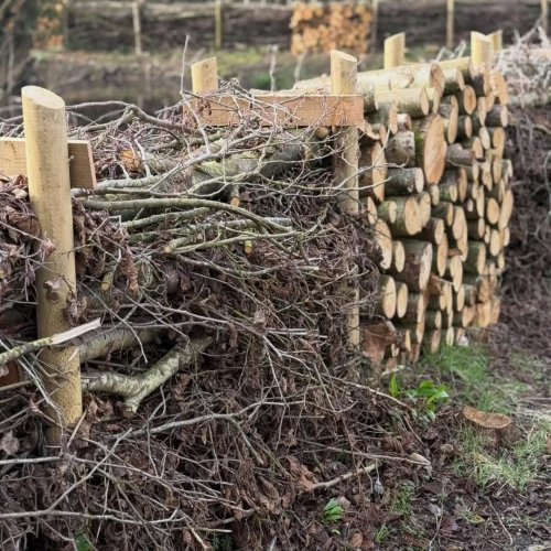 Photo post from ace_of_spades_gardens.