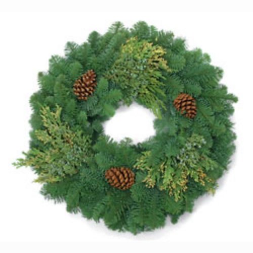 Photo post from giffordsflowers.