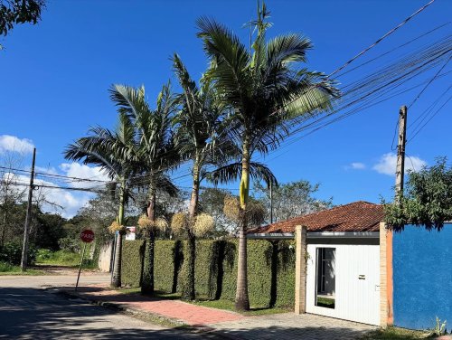 Carousel post from imobiliariammocelin.