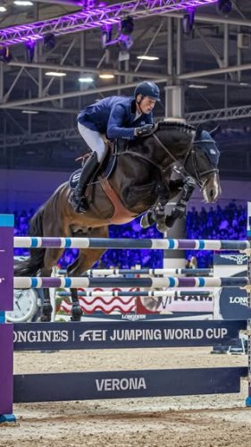 Video post from fei_global.