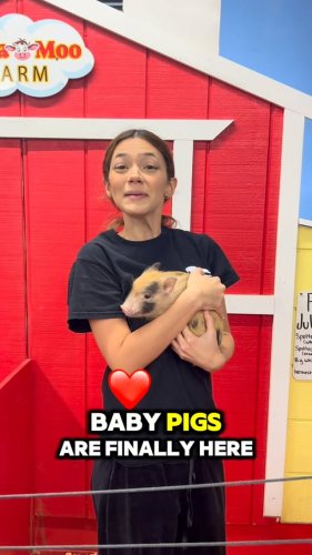 Video post from njexoticpets.