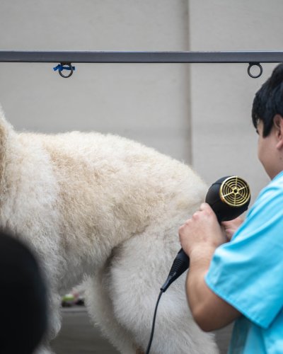 Photo post from medicalpettj.