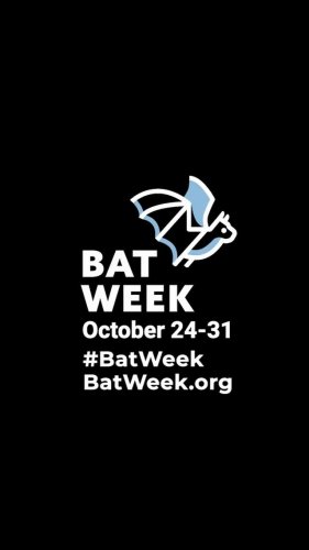 Video post from ngsmagnified.