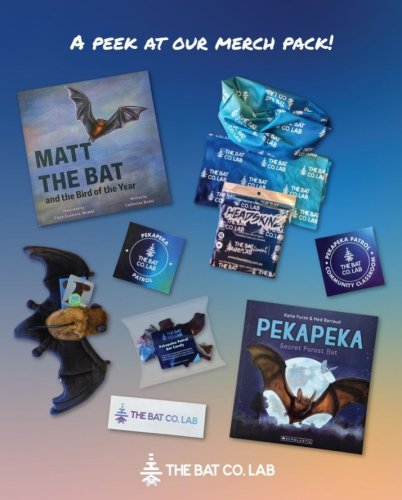 Photo post from bat.of.the.year.