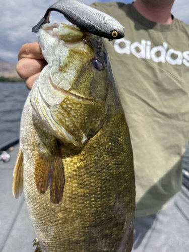 Photo post from garrettscustoms.