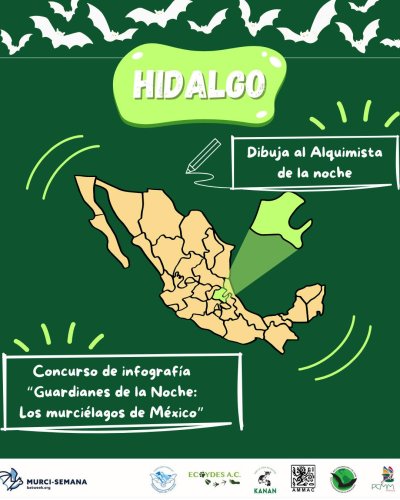 Carousel post from murcisemana_oficial.