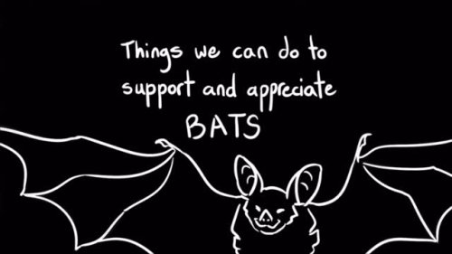 Video post from forthebirdsofacadiana.