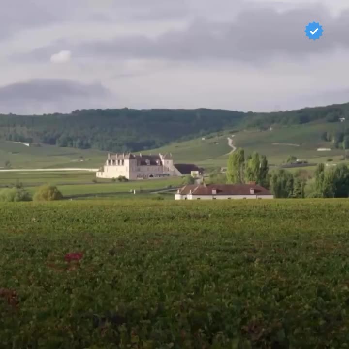 Video post from clubdvin.