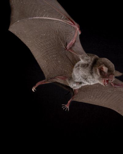 Carousel post from lanz_wild.