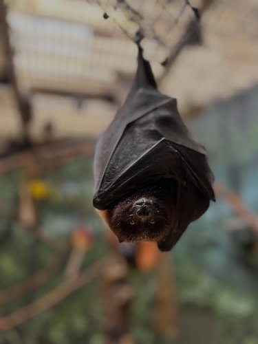 Carousel post from phillyaazk.