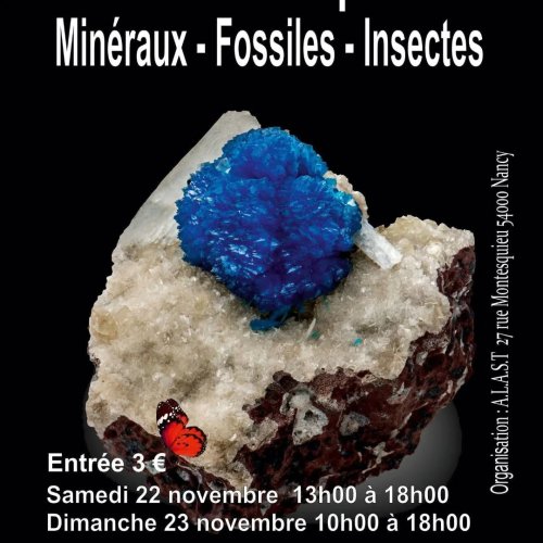 Carousel post from lemondemagiquedescristaux.