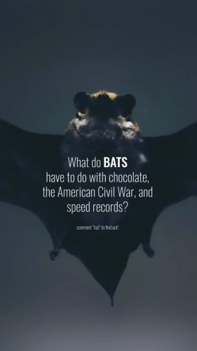 Video post from getthekidsoutside.