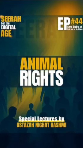 Video post from nighathashmi.