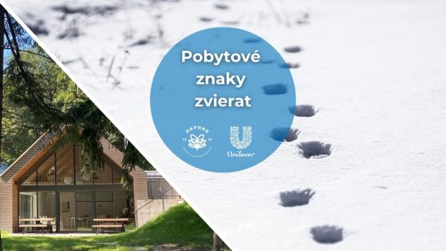 Photo post from kamzajtra.