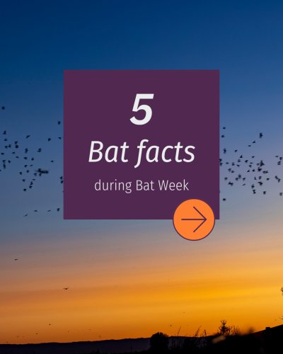 Carousel post from vancouverpublicworksus.